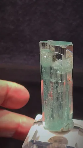specimen video