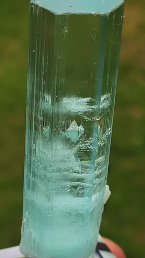 specimen video