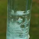 specimen video
