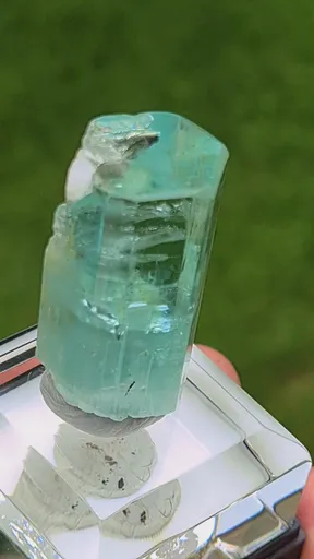 specimen video
