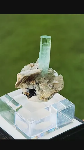 specimen video