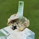 specimen video