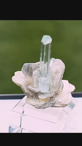 specimen video