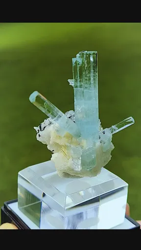 specimen video