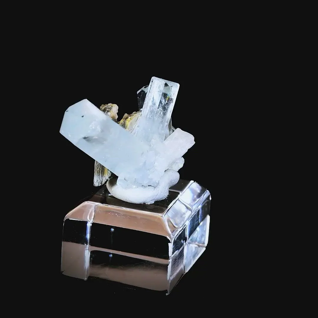 specimen video