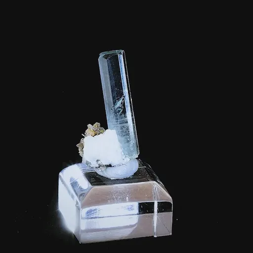 specimen video