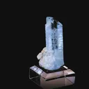 specimen video