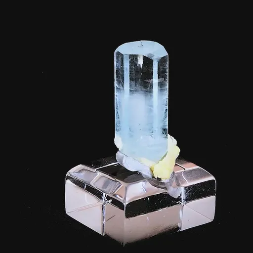 specimen video