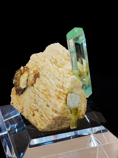 specimen video