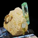 specimen video