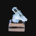 specimen video