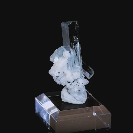 specimen video
