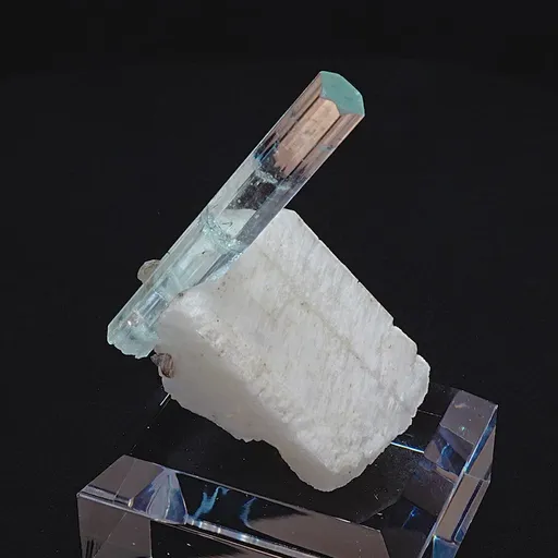 specimen video