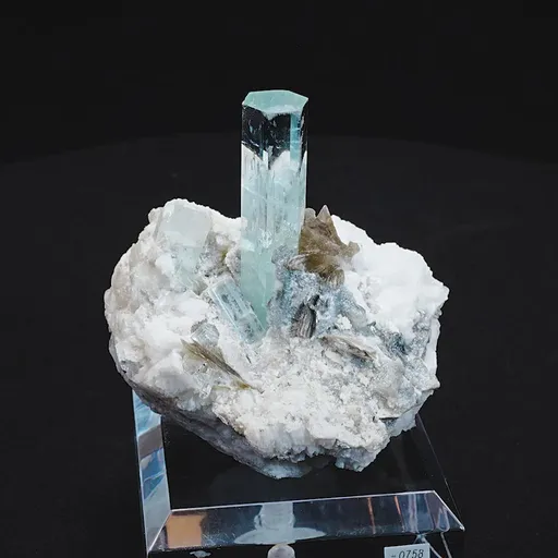 specimen video