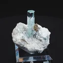 specimen video