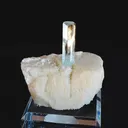 specimen video