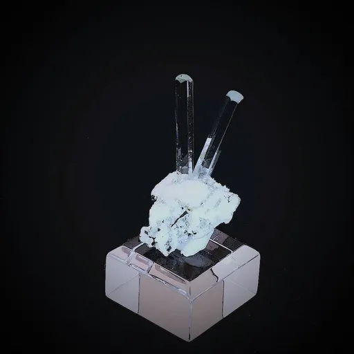 specimen video