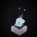 specimen video
