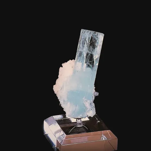 specimen video