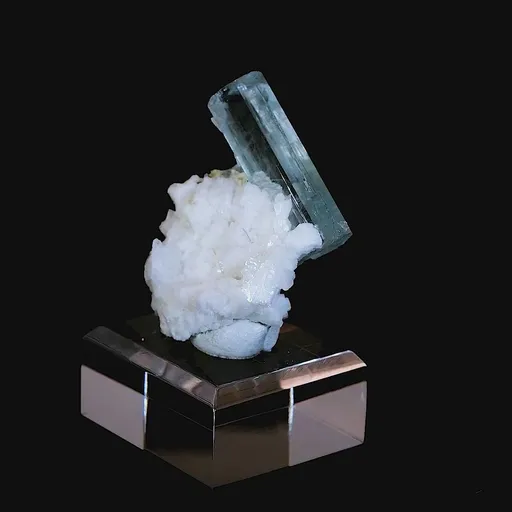 specimen video