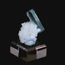 specimen video