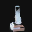 specimen video