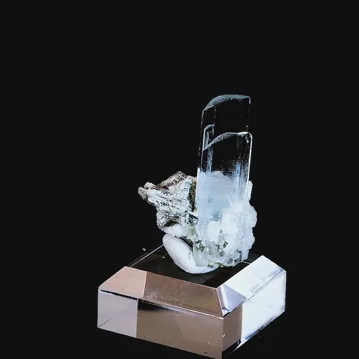specimen video