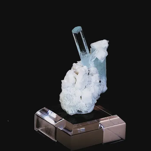 specimen video