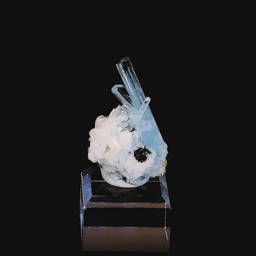 specimen video