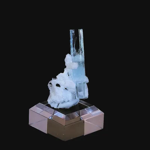 specimen video