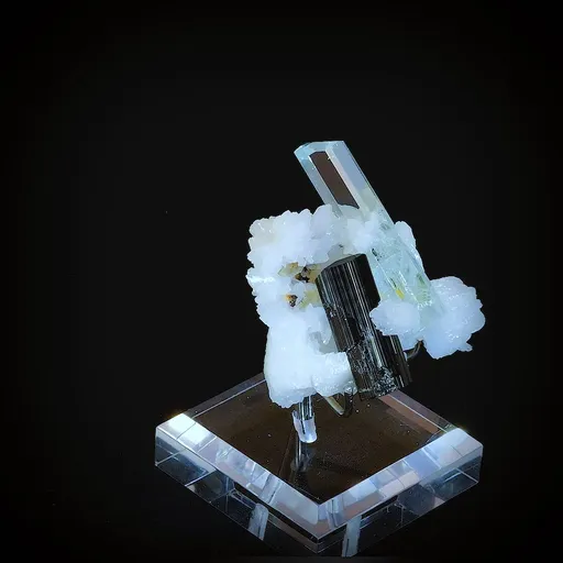 specimen video