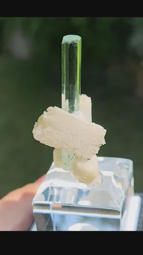 specimen video