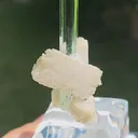 specimen video