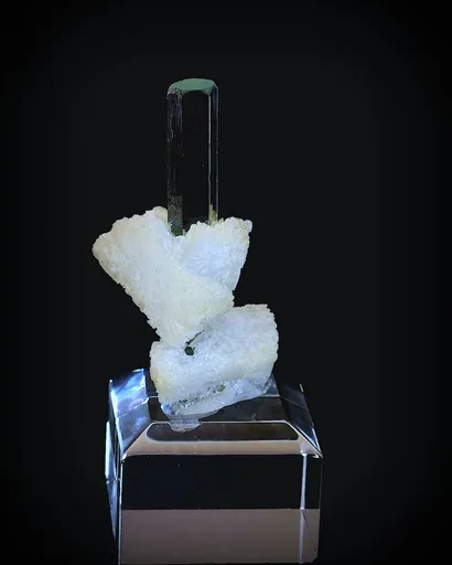 specimen video