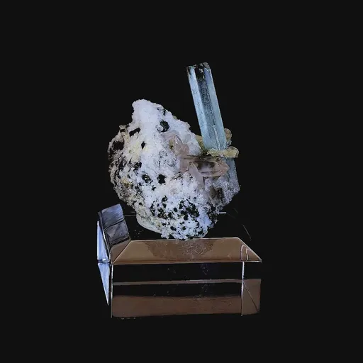 specimen video