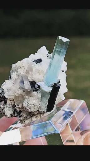 specimen video