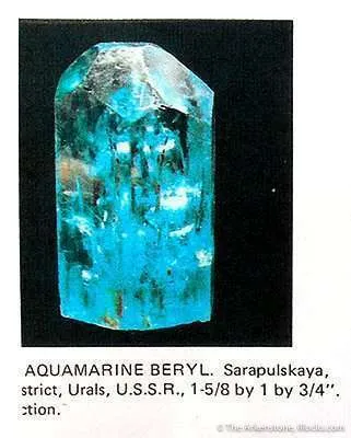 Beryl - image 3