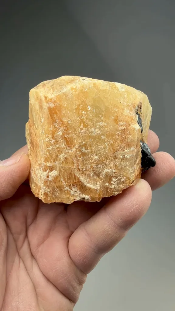 Beryl - image 2