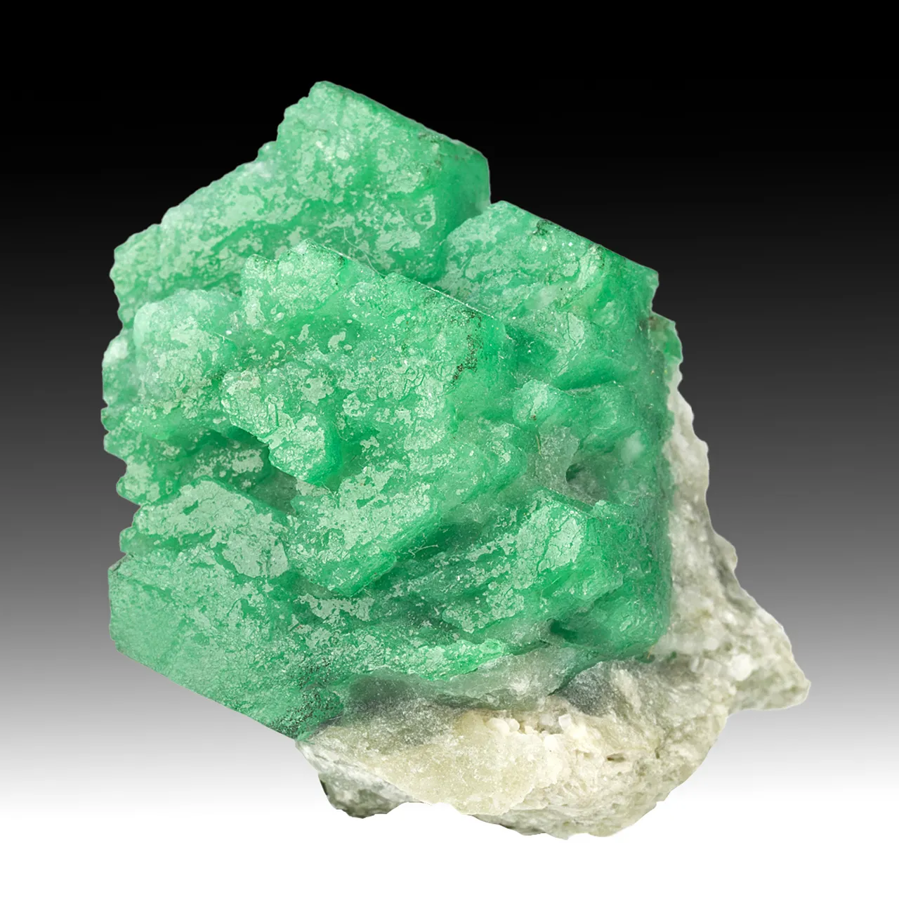 Beryl - image 1