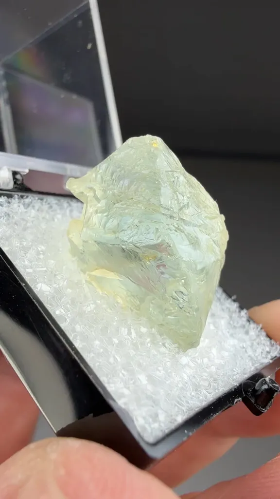 Beryl - image 2