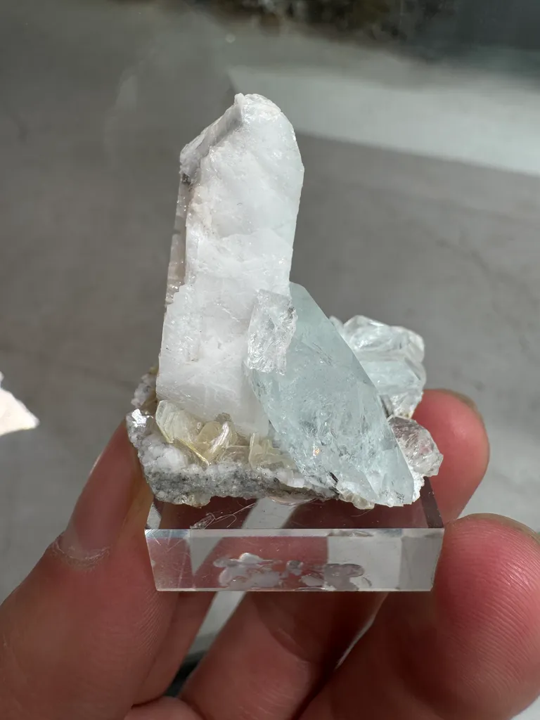 Beryl - image 6