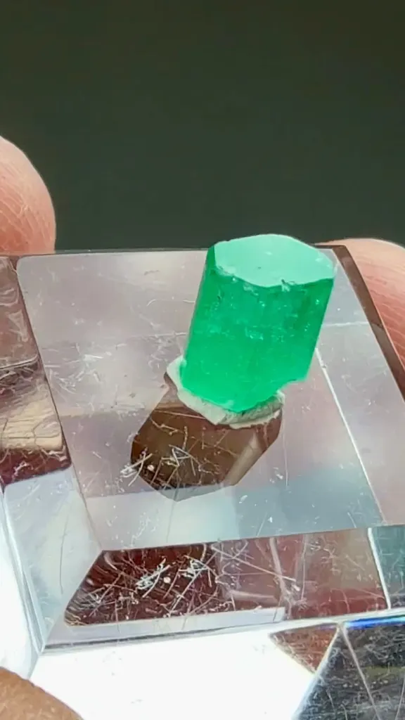Beryl - image 2