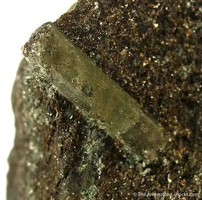 Beryl - image 3