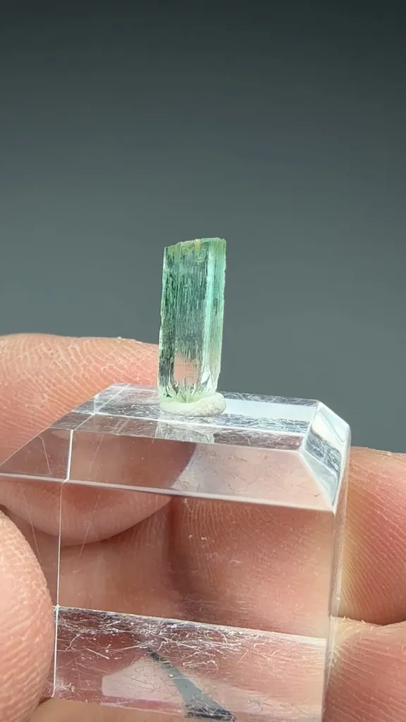 Beryl - image 2