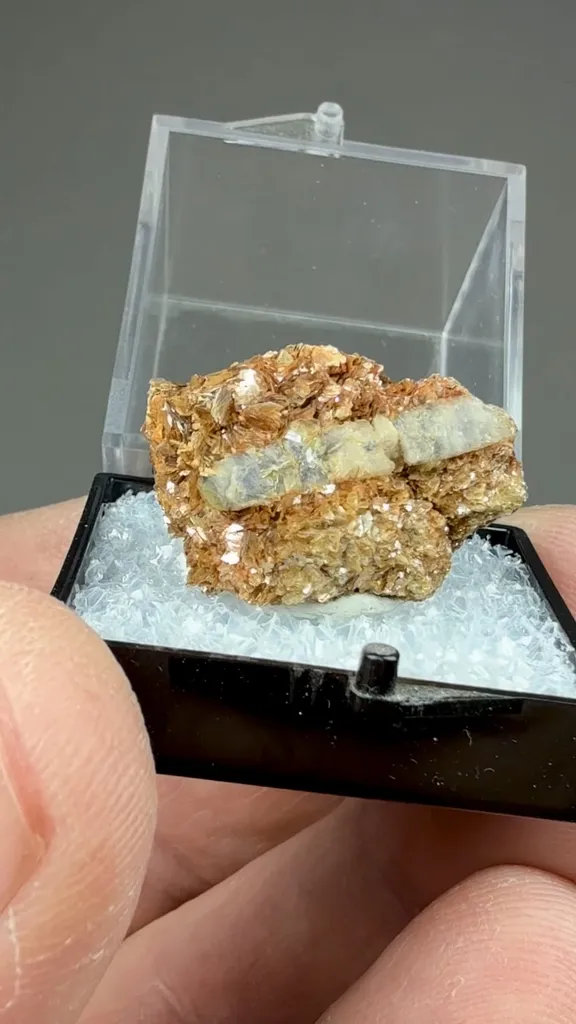 Beryl - image 2