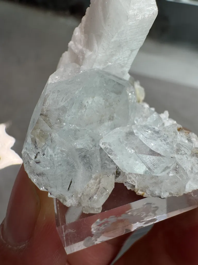 Beryl - image 7