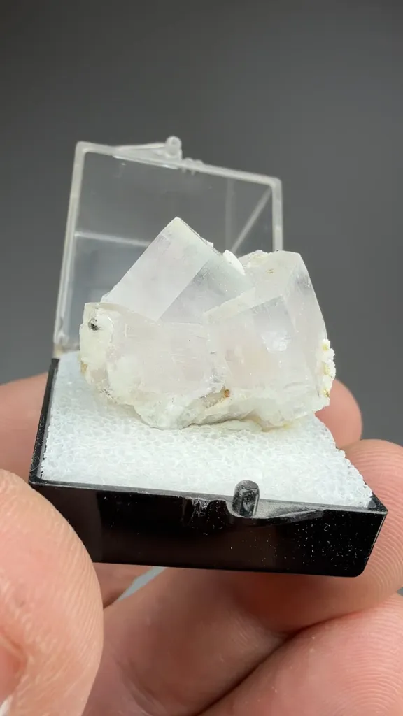 Beryl - image 2