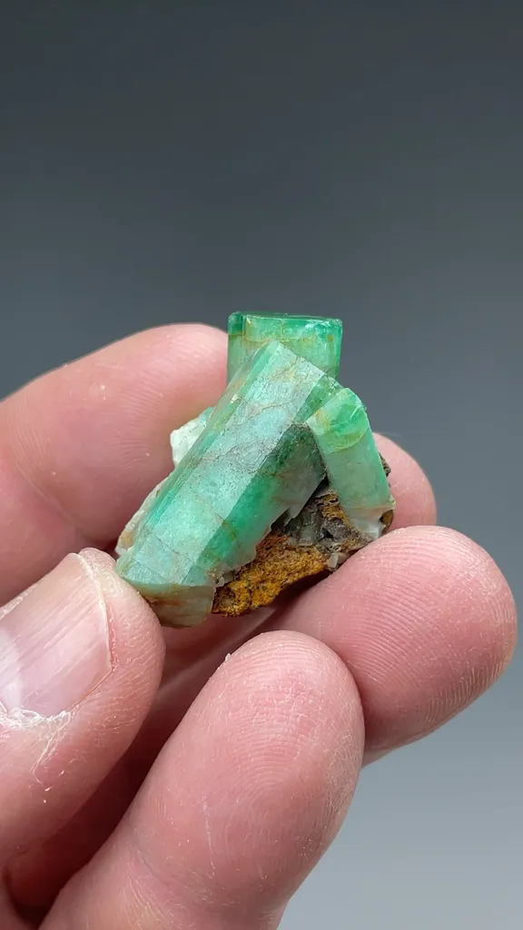 Beryl - image 2