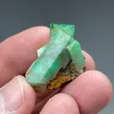 Beryl - image 2
