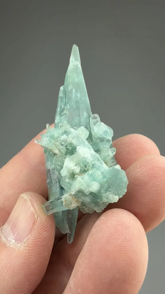 Beryl - image 2